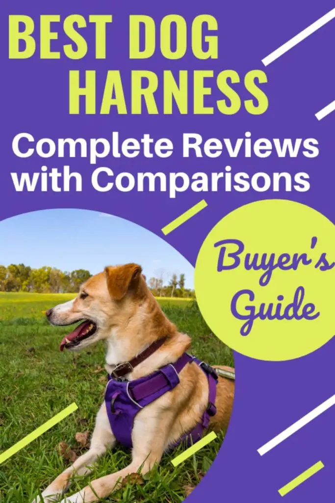 dog harness review
