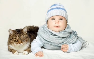 How to Introduce Your Cat to Your Baby?