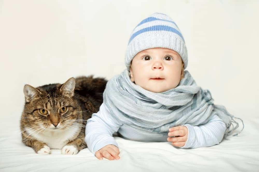 introduce cat to baby