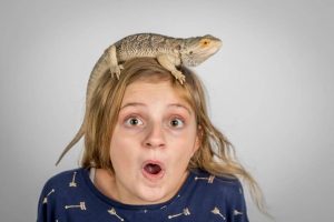 Do Bearded Dragons Know Their Owners? - Smartly Pet