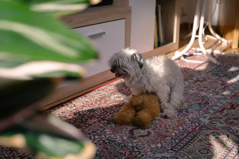 dog humping toy