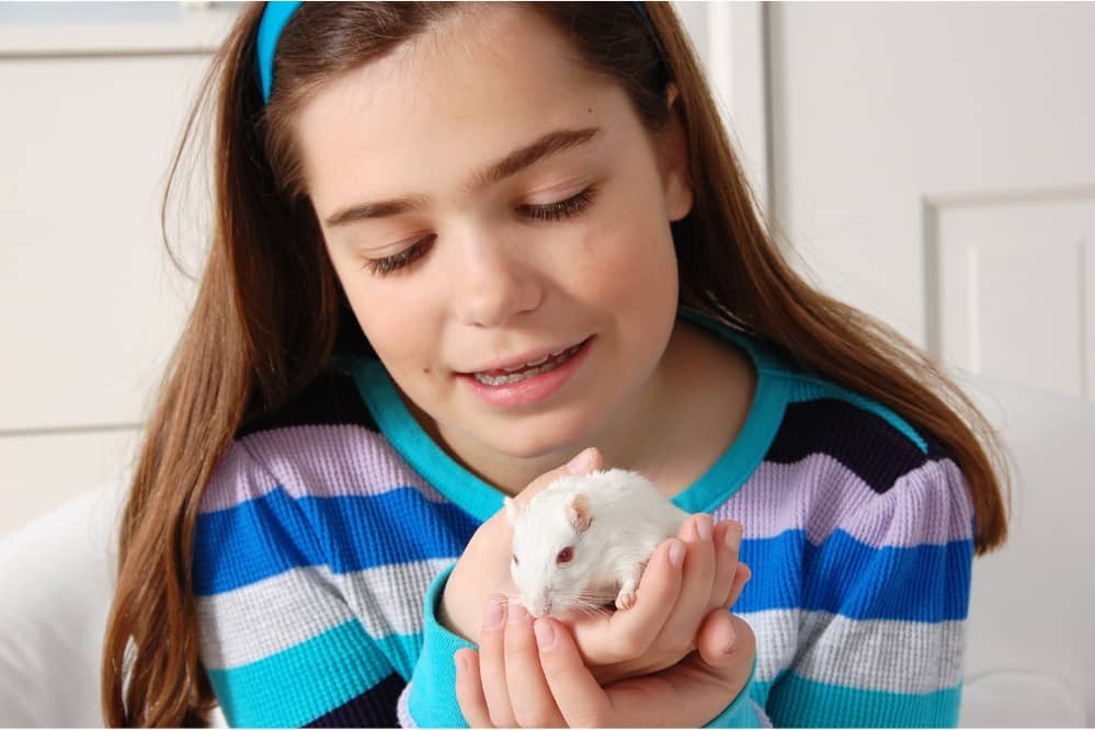 white gerbil held by girl