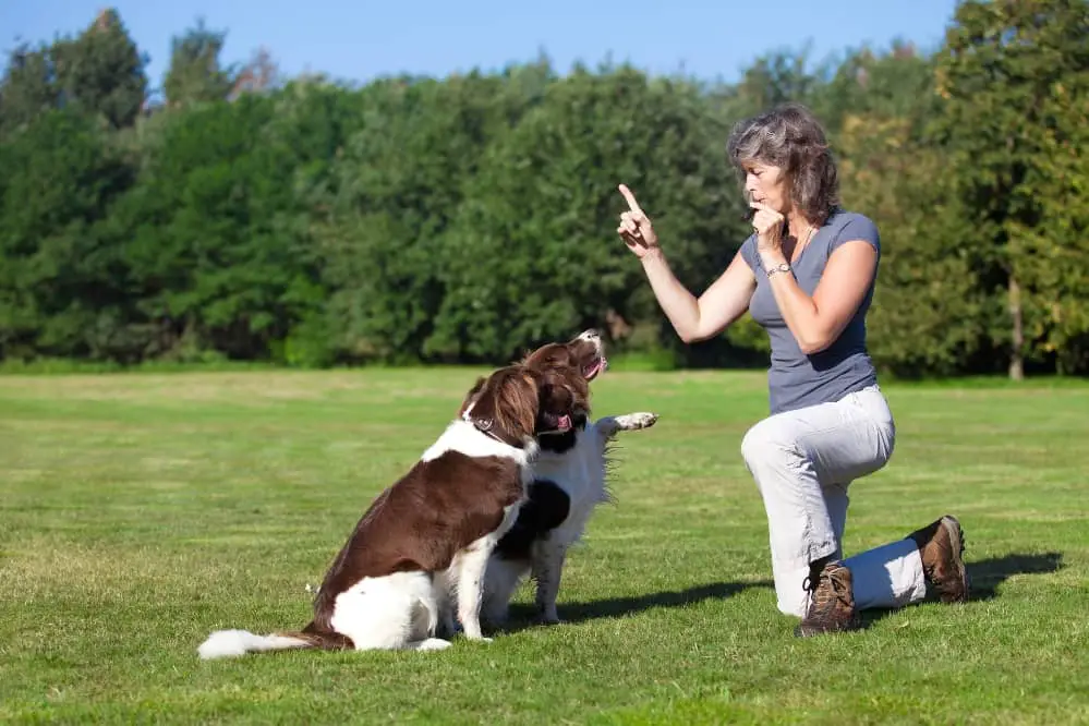 training with whistle